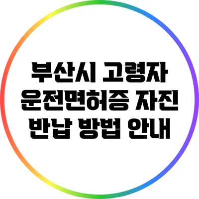 부산시 고령자 운전면허증 자진 반납 방법 안내