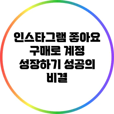 인스타그램 좋아요 구매로 계정 성장하기: 성공의 비결