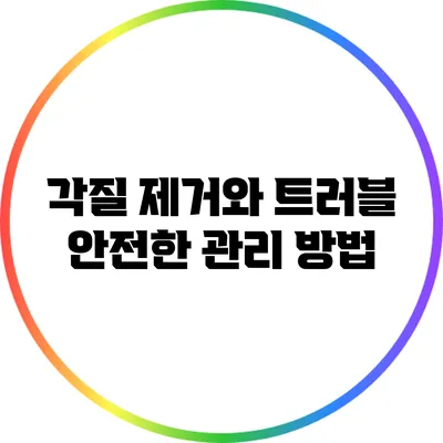각질 제거와 트러블: 안전한 관리 방법