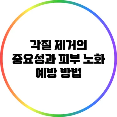 각질 제거의 중요성과 피부 노화 예방 방법