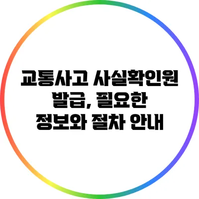교통사고 사실확인원 발급, 필요한 정보와 절차 안내
