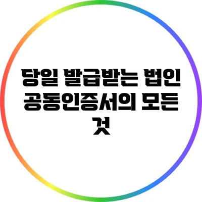 당일 발급받는 법인 공동인증서의 모든 것