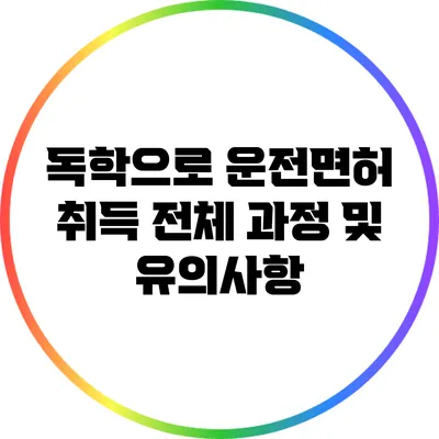 독학으로 운전면허 취득: 전체 과정 및 유의사항