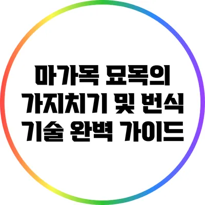 마가목 묘목의 가지치기 및 번식 기술 완벽 가이드