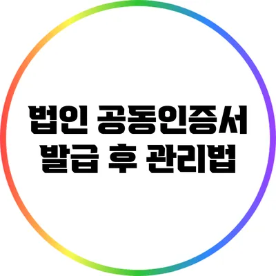 법인 공동인증서 발급 후 관리법
