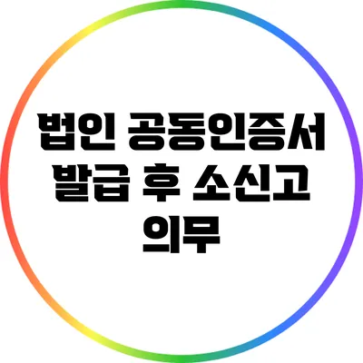 법인 공동인증서 발급 후 소신고 의무