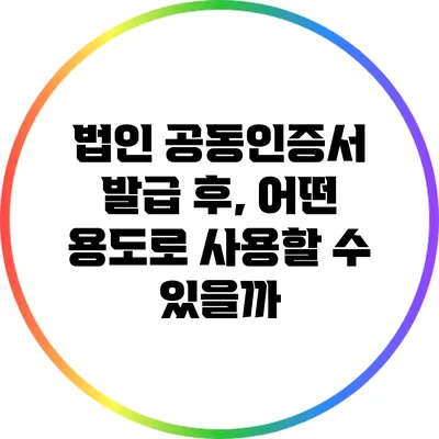 법인 공동인증서 발급 후, 어떤 용도로 사용할 수 있을까?