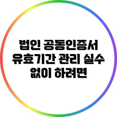 법인 공동인증서 유효기간 관리: 실수 없이 하려면?
