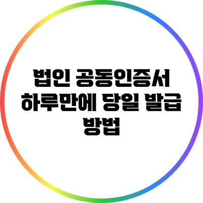 법인 공동인증서 하루만에 당일 발급 방법