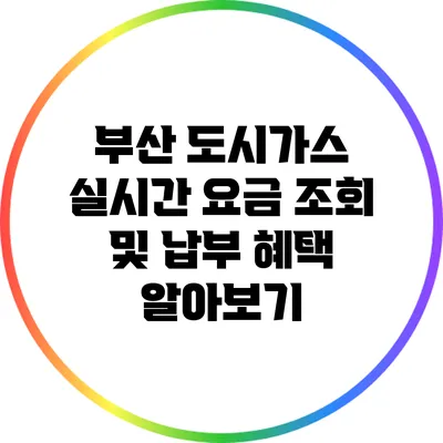 부산 도시가스 실시간 요금 조회 및 납부 혜택 알아보기