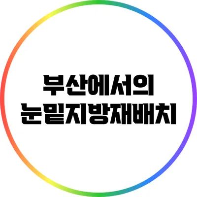 부산에서의 눈밑지방재배치
