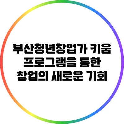부산청년창업가 키움 프로그램을 통한 창업의 새로운 기회