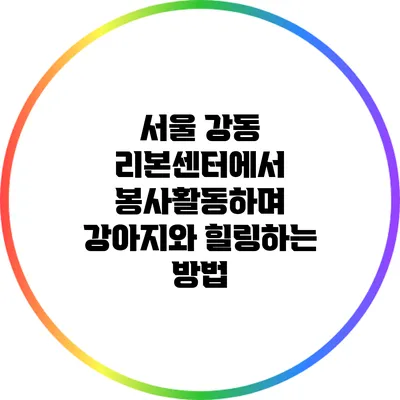 서울 강동 리본센터에서 봉사활동하며 강아지와 힐링하는 방법