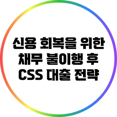신용 회복을 위한 채무 불이행 후 CSS 대출 전략