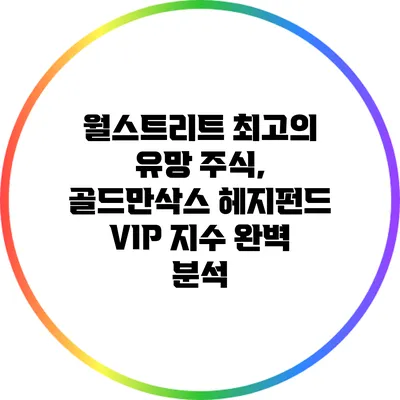 월스트리트 최고의 유망 주식, 골드만삭스 헤지펀드 VIP 지수 완벽 분석