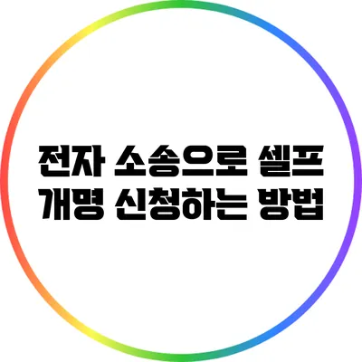 전자 소송으로 셀프 개명 신청하는 방법