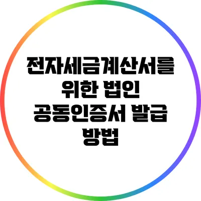 전자세금계산서를 위한 법인 공동인증서 발급 방법