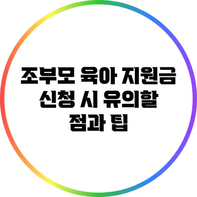 조부모 육아 지원금 신청 시 유의할 점과 팁