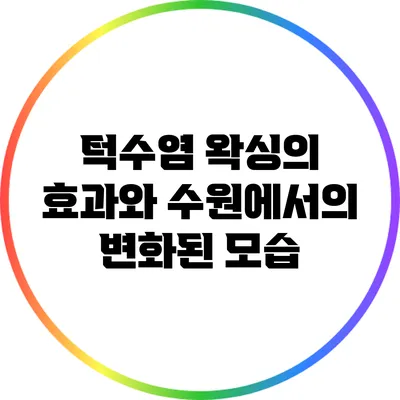 턱수염 왁싱의 효과와 수원에서의 변화된 모습