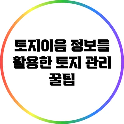 토지이음 정보를 활용한 토지 관리 꿀팁