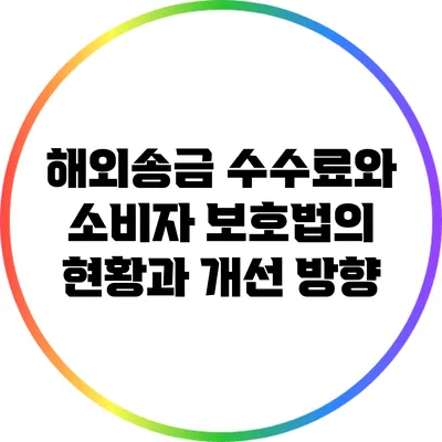 해외송금 수수료와 소비자 보호법의 현황과 개선 방향