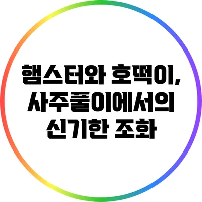 햄스터와 호떡이, 사주풀이에서의 신기한 조화