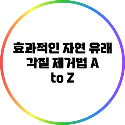 효과적인 자연 유래 각질 제거법 A to Z