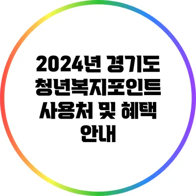 2024년 경기도 청년복지포인트 사용처 및 혜택 안내