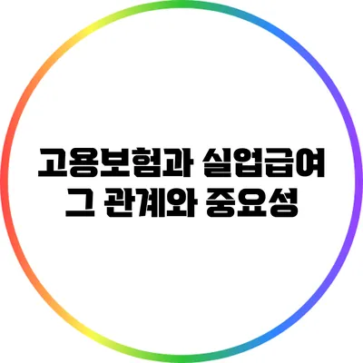고용보험과 실업급여: 그 관계와 중요성