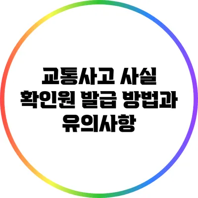 교통사고 사실 확인원 발급 방법과 유의사항