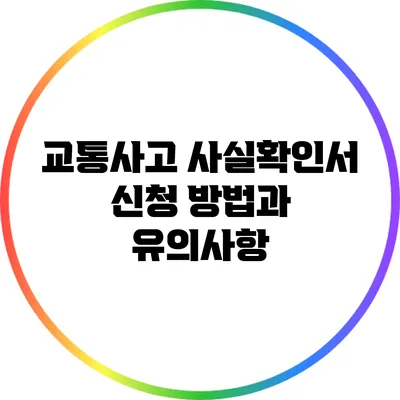 교통사고 사실확인서 신청 방법과 유의사항