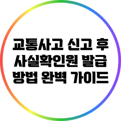 교통사고 신고 후 사실확인원 발급 방법 완벽 가이드