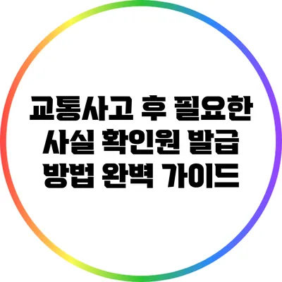 교통사고 후 필요한 사실 확인원 발급 방법 완벽 가이드