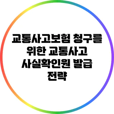 교통사고보험 청구를 위한 교통사고 사실확인원 발급 전략