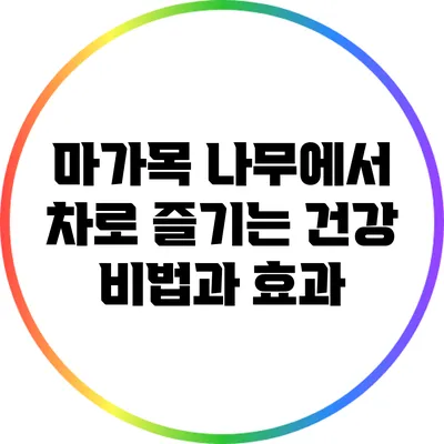 마가목 나무에서 차로 즐기는 건강 비법과 효과