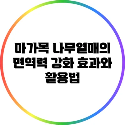 마가목 나무열매의 면역력 강화 효과와 활용법