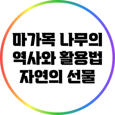 마가목 나무의 역사와 활용법: 자연의 선물