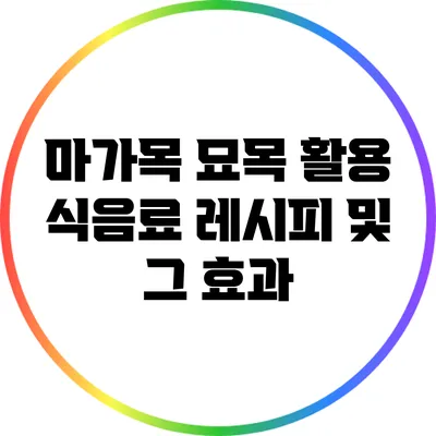 마가목 묘목 활용 식음료 레시피 및 그 효과