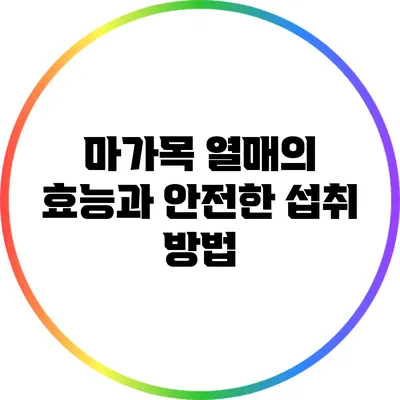 마가목 열매의 효능과 안전한 섭취 방법