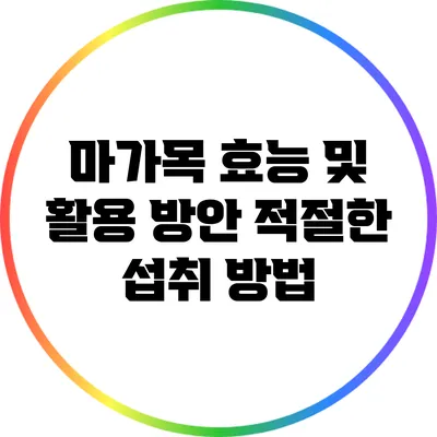 마가목 효능 및 활용 방안: 적절한 섭취 방법