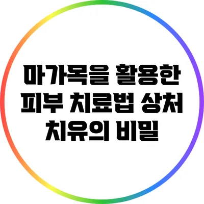 마가목을 활용한 피부 치료법: 상처 치유의 비밀