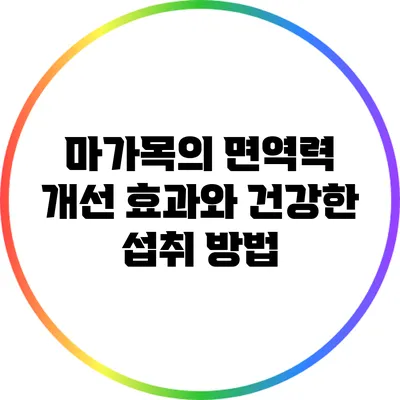 마가목의 면역력 개선 효과와 건강한 섭취 방법