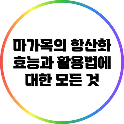 마가목의 항산화 효능과 활용법에 대한 모든 것