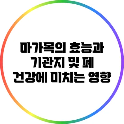 마가목의 효능과 기관지 및 폐 건강에 미치는 영향