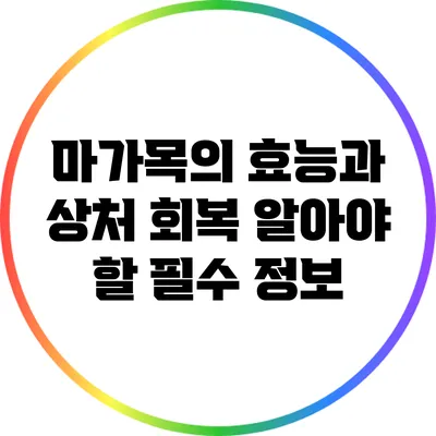 마가목의 효능과 상처 회복: 알아야 할 필수 정보