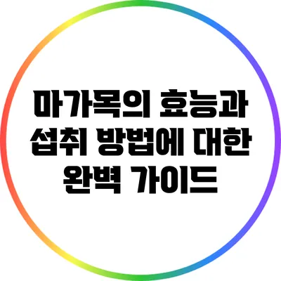 마가목의 효능과 섭취 방법에 대한 완벽 가이드