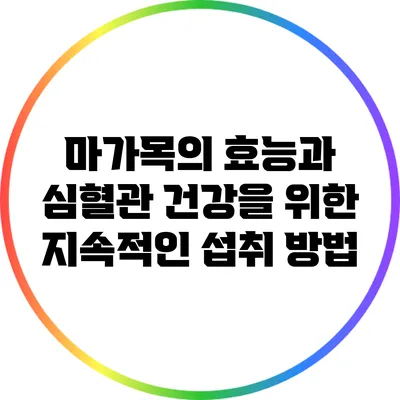 마가목의 효능과 심혈관 건강을 위한 지속적인 섭취 방법