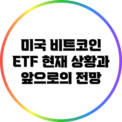 미국 비트코인 ETF: 현재 상황과 앞으로의 전망