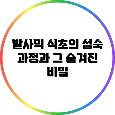 발사믹 식초의 성숙 과정과 그 숨겨진 비밀