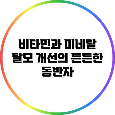 비타민과 미네랄: 탈모 개선의 든든한 동반자